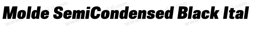Molde SemiCondensed Black Italic字体转换